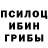 Псилоцибиновые грибы GOLDEN TEACHER Purushottam Ahire